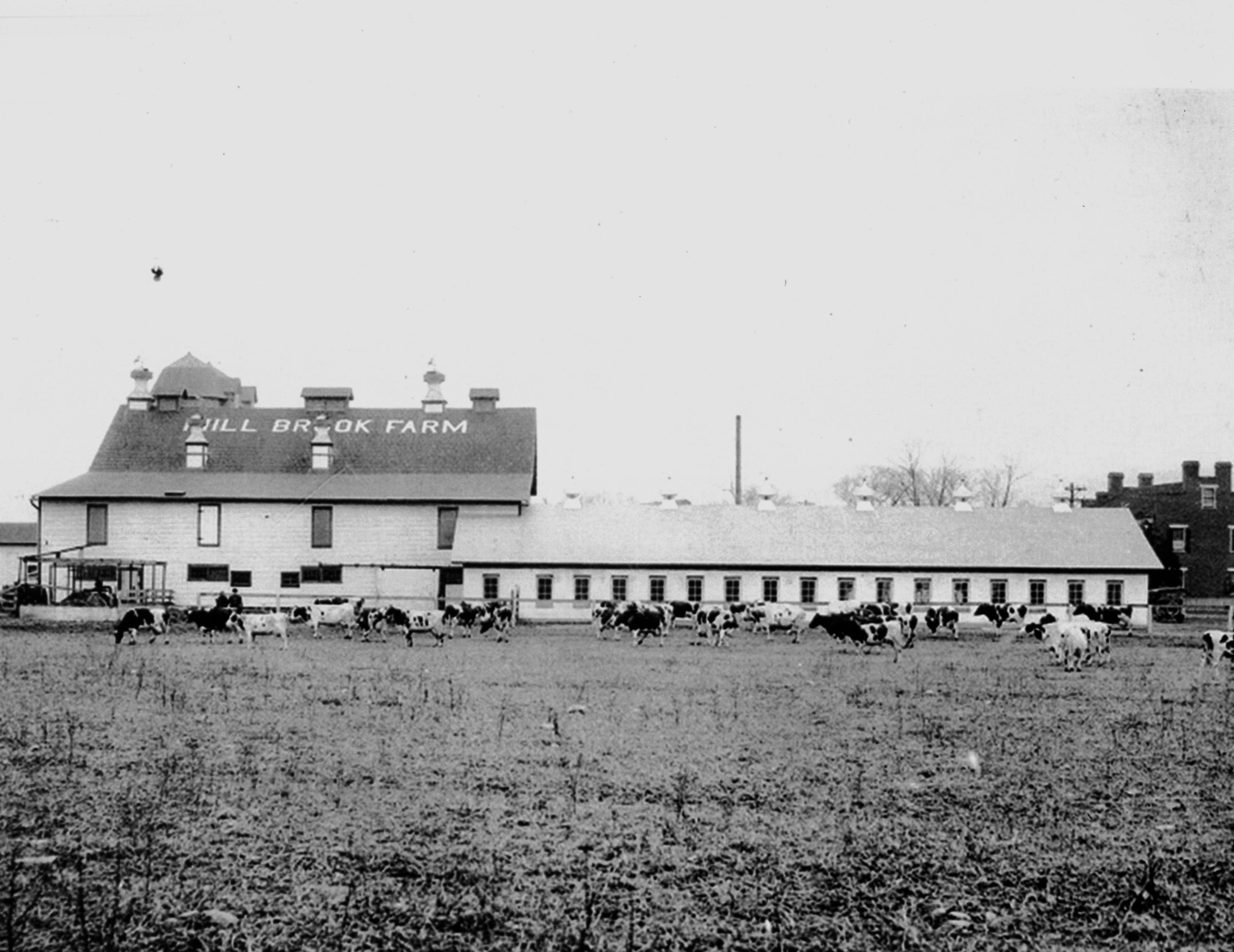 Black and white barn